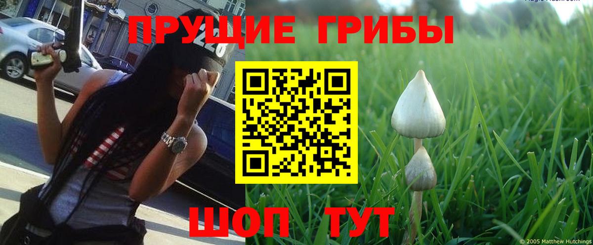 Псилоцибиновые грибы Magic Shrooms Черкесск